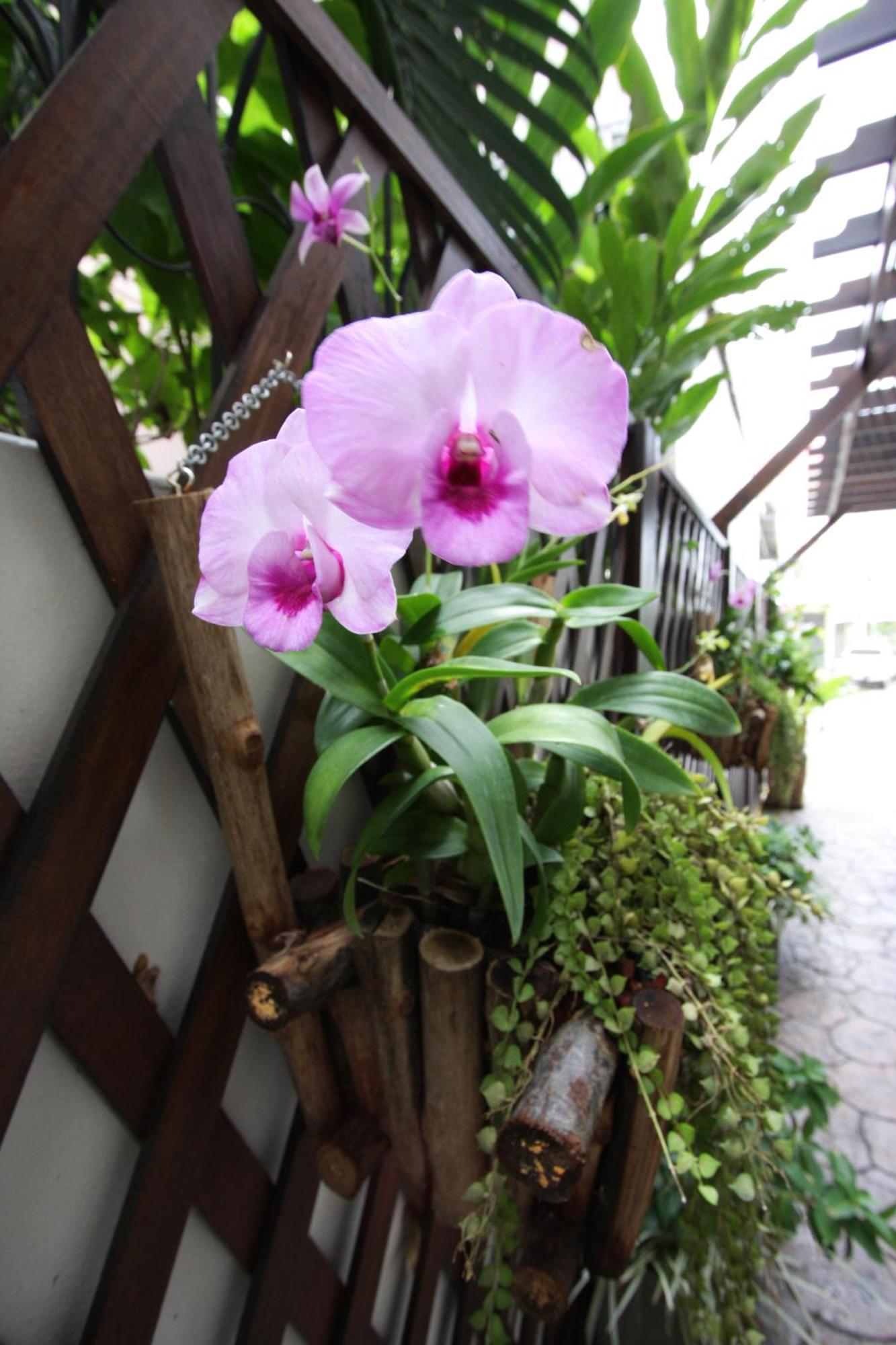 Chaba Place Hua Hin Ngoại thất bức ảnh